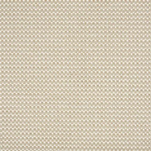 Costa Rica Remix in Oyster Carpet