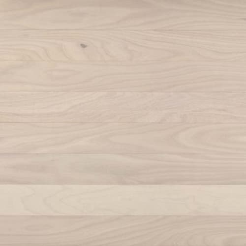 Costa in Ivory Tower Hardwood