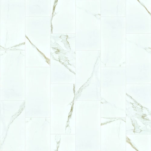 CASINO 12X24 POLISH in Calacatta Tile