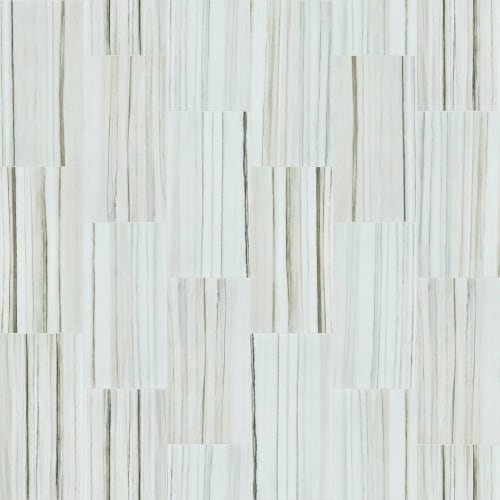 CASINO 12X24 POLISH in Zebrino Tile