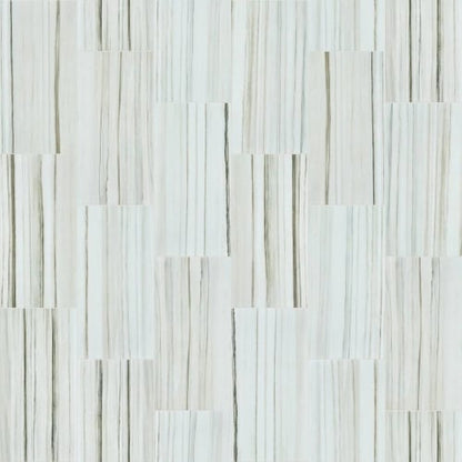 CASINO 12X24 POLISH in Zebrino Tile