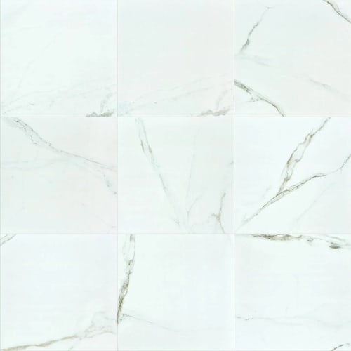 CASINO 24X24 POLISHED in Calacatta Tile