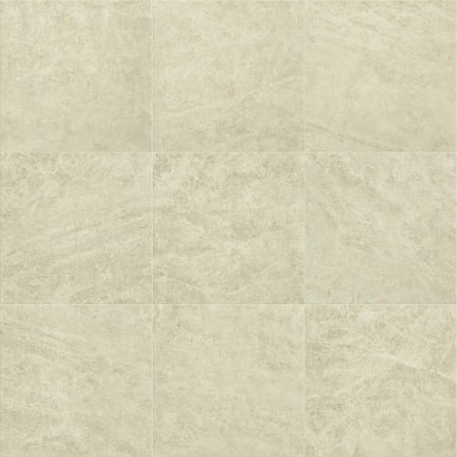 CASINO 24X24 POLISHED in Allure Tile