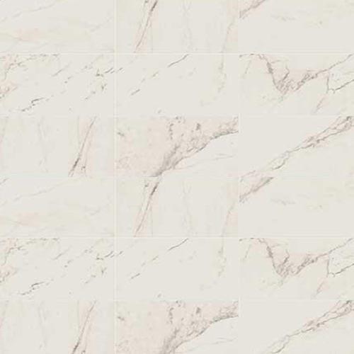 Classentino Marble in Palazzo White Matte - 24x24 Tile