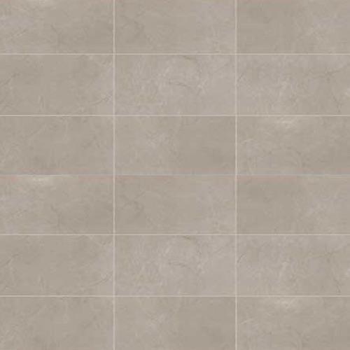 Classentino Marble in Coliseum Gray Matte - 24x48 Tile