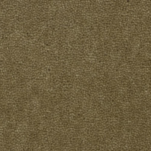 Palazzo in Sage Green Carpet
