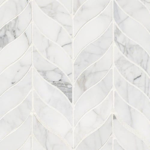 Calacatta Cressa in Calacatta Cressa Leaf Pattern Honed Natural Stone