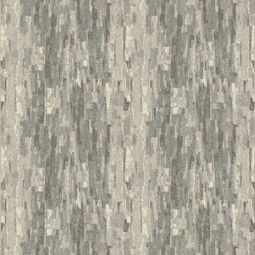 Cantera - Slate in Slate Area Rugs