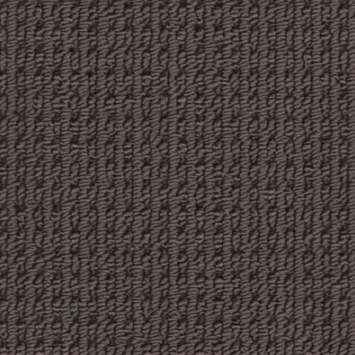 Capri in Metallica Carpet