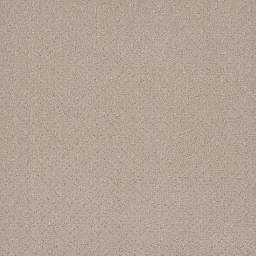 Stellar in Champagne Fizz Carpet