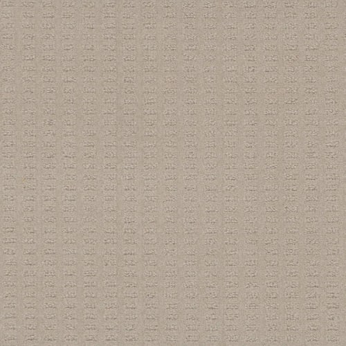 Superb in Champagne Fizz Carpet