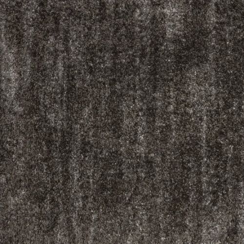 Holland Park in Coal Carpet
