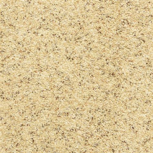 Katie's Comfort in Mineral Carpet