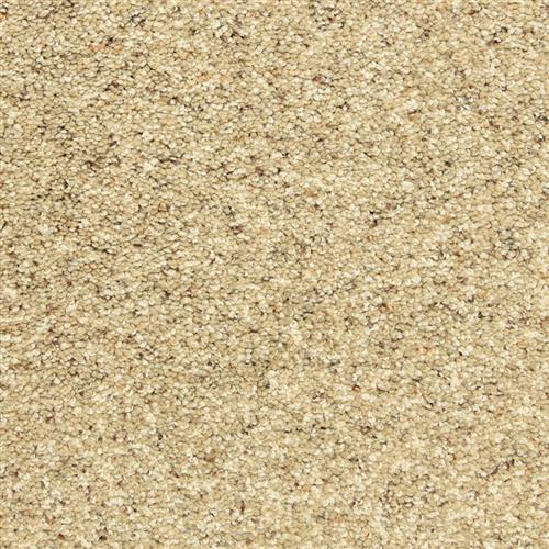 Star Power in Grey Tweed Carpet