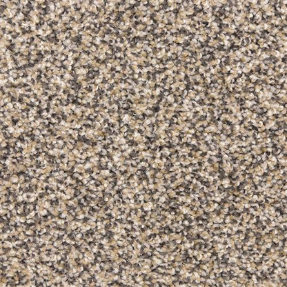 Leigh Way in Yosemite Carpet