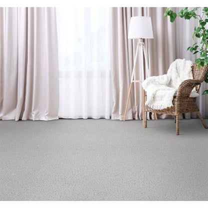 Legit in Astute Carpet