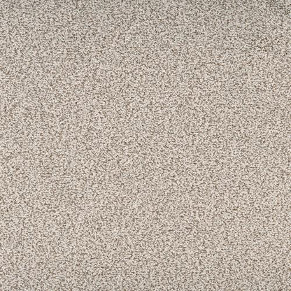 Legit in Exquisite Carpet