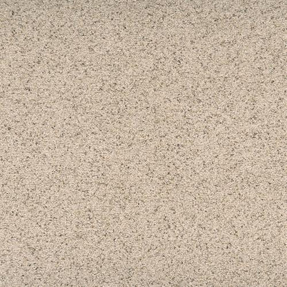 Suave in Cultured Carpet
