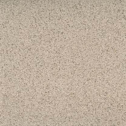 Suave in Refined Carpet