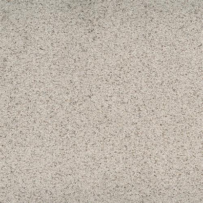 Suave in Gallant Carpet