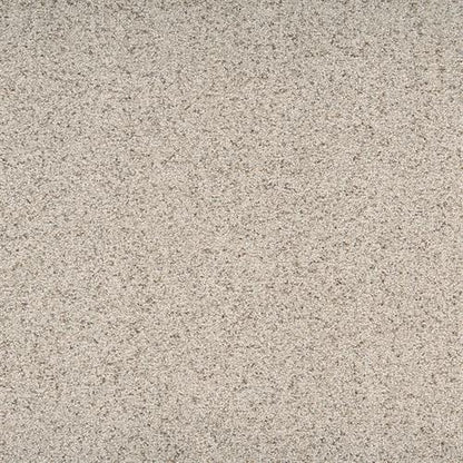 Suave in Mannerly Carpet