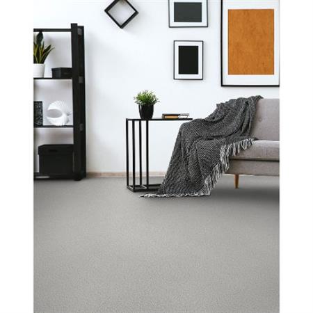 Suave in Astute Carpet