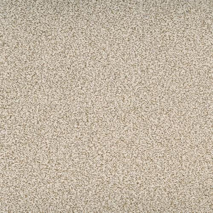 Suave in Dashing Carpet