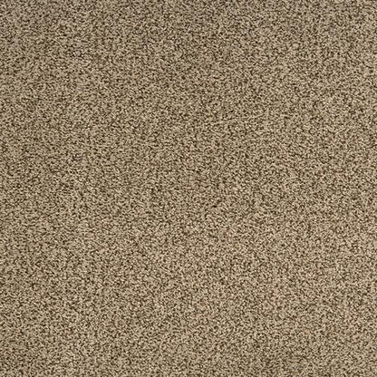 Suave in Clever Carpet