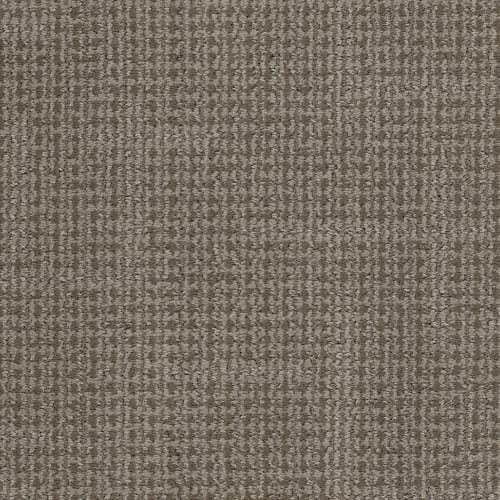 Tabby in Felicette Carpet