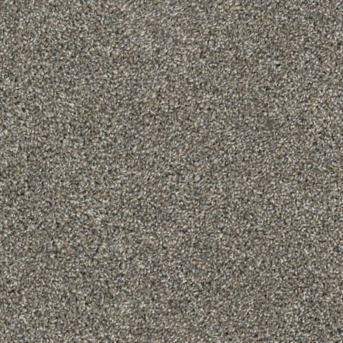 Big Idea in River Rock Carpet