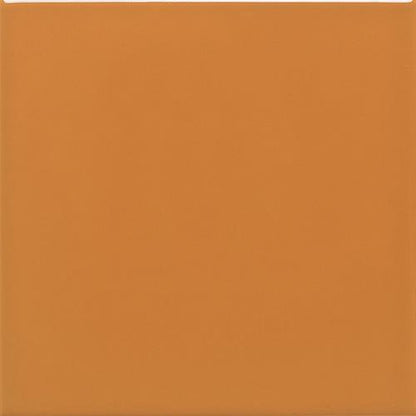 Keystones in Pumpkin Spice (4) 2x2 Tile