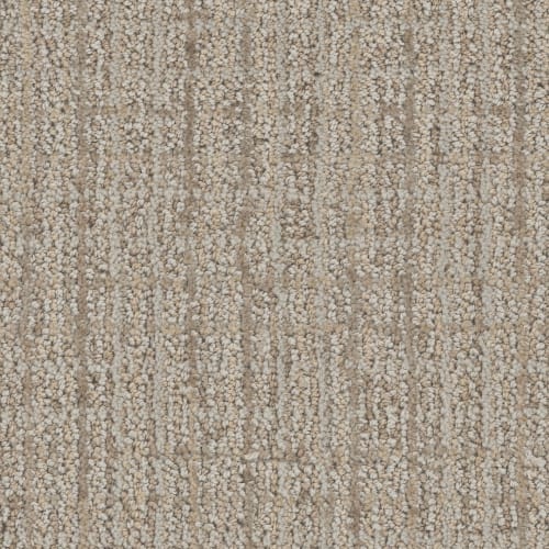 Charming in Stone Carpet