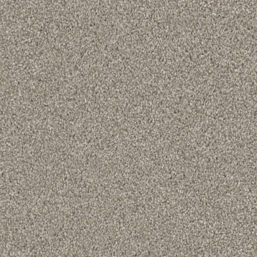 Affection in Windsor Carpet