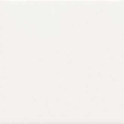 Keystones in Arctic White (2) 2x2 Tile