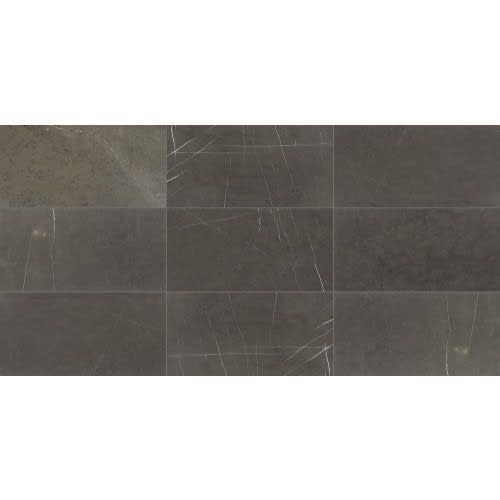 Marble Collection in Antico Scuro 12x12 Honed Natural Stone