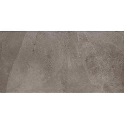 Delegate in Light Grey 12x24 Tile