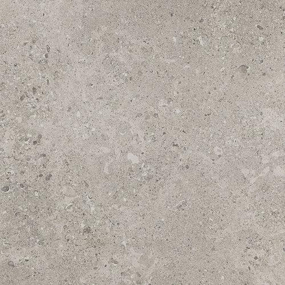 Dignitary in Superior Taupe 12x24 Tile