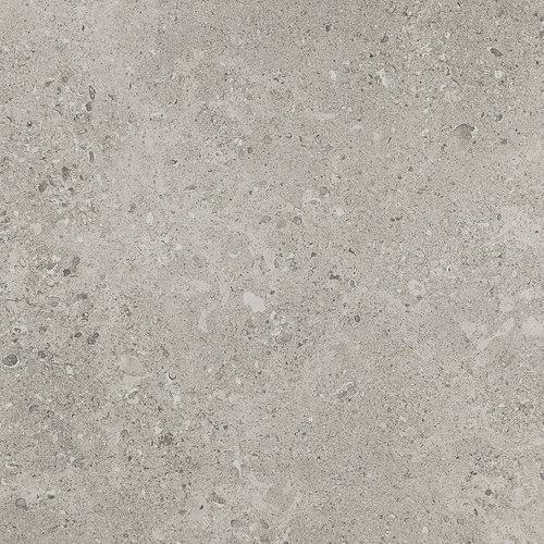 Dignitary in Superior Taupe 12x24 Tile