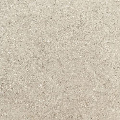 Dignitary in Notable Beige 12x24 Tile