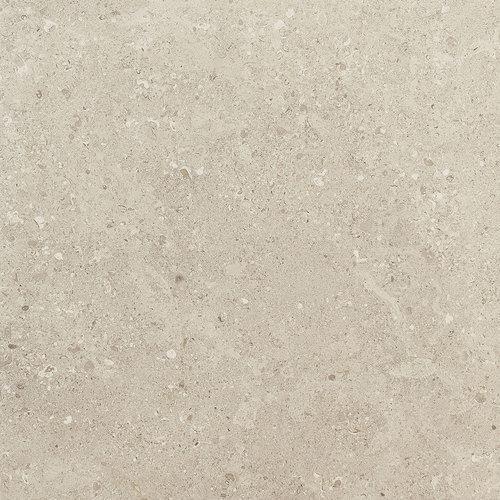Dignitary in Notable Beige 12x24 Tile