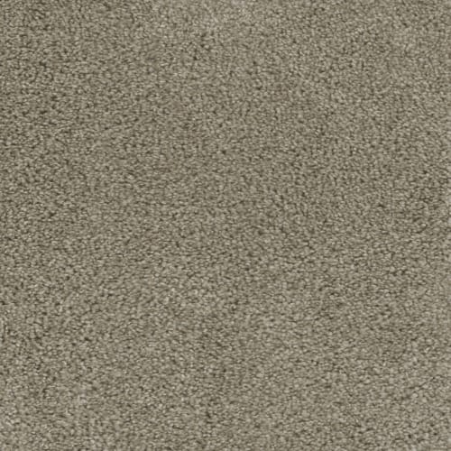 Regal Touch in Split Rail Carpet