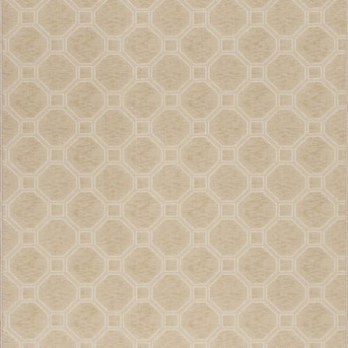 Delicate Frame - Muslin in Muslin Area Rugs