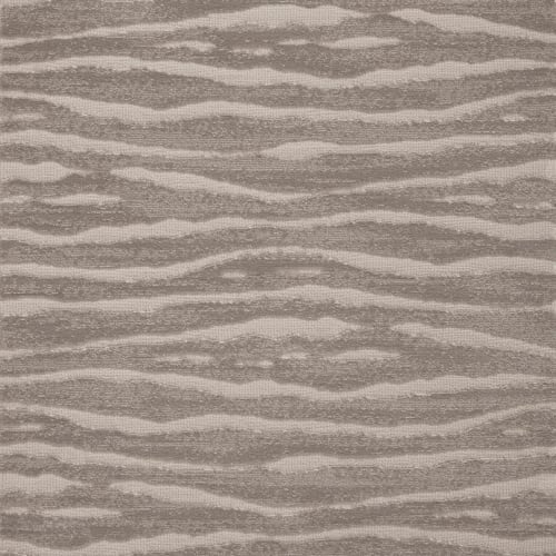 Delineate in Platinum Carpet