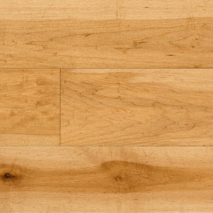 Design+ Collection - Hard Maple Creme Brulee Engineered 1/2 " in Matte 6 1/2 " Hardwood