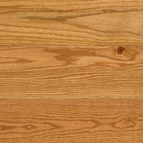 Design+ Collection - Red Oak Creme Brulee Solid in Distinction Matte 3 1/4 " Hardwood