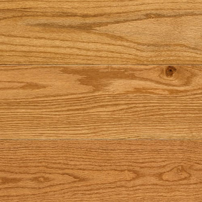 Design+ Collection - Red Oak Creme Brulee Solid in Select & Better Matte 3 1/4 " Hardwood