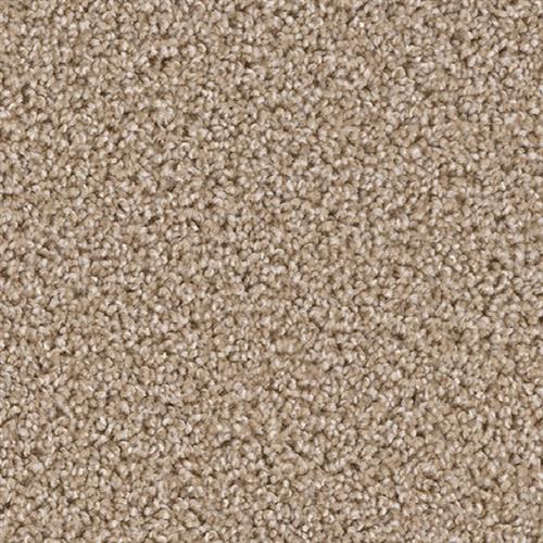 Top Star in Sawgrass Carpet