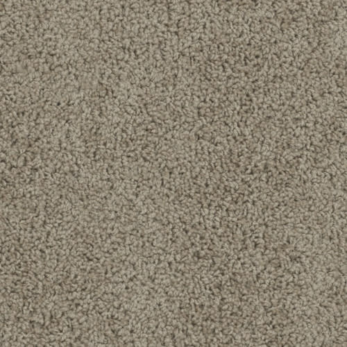 Daredevil in Doeskin Carpet