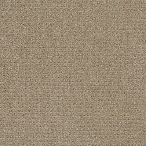Comfort Zone in Warm Sand Carpet