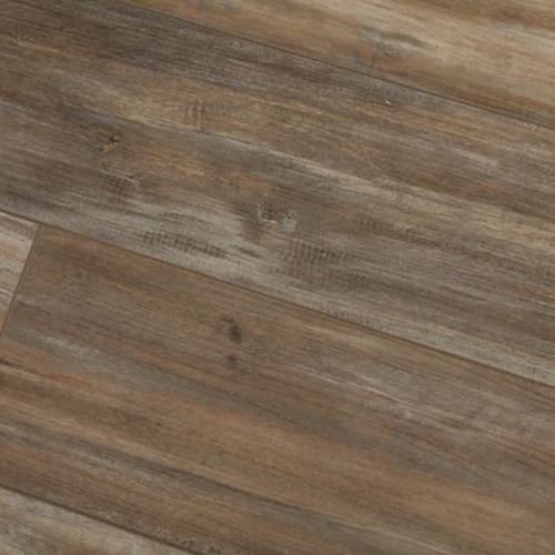 Exotica in 306 Luxury Vinyl